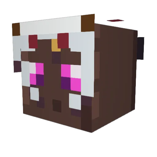ZeldaHime57 Minecraft avatar head, 3D render