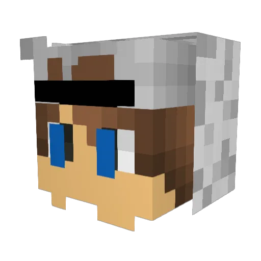 ZeldaQueens Minecraft avatar head, 3D render