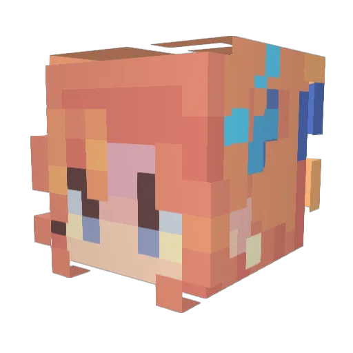 Zeldaclone Minecraft avatar head, 3D render