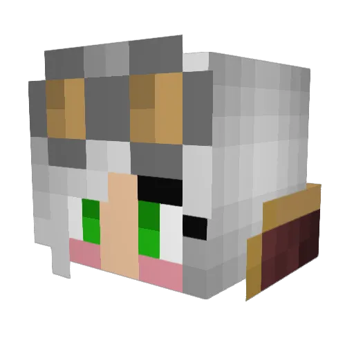 Zeldafan59 Minecraft avatar head, 3D render