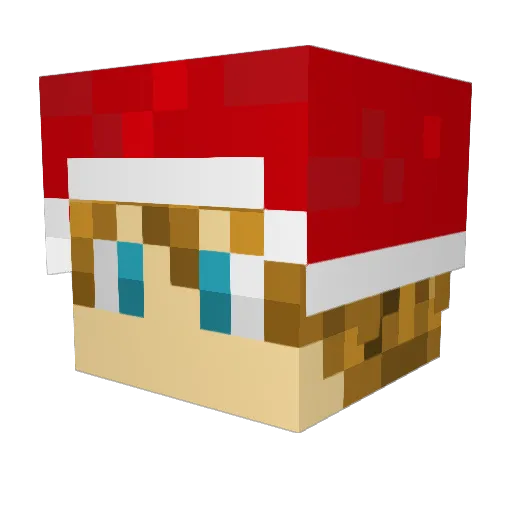Zeldafreak24 Minecraft avatar head, 3D render