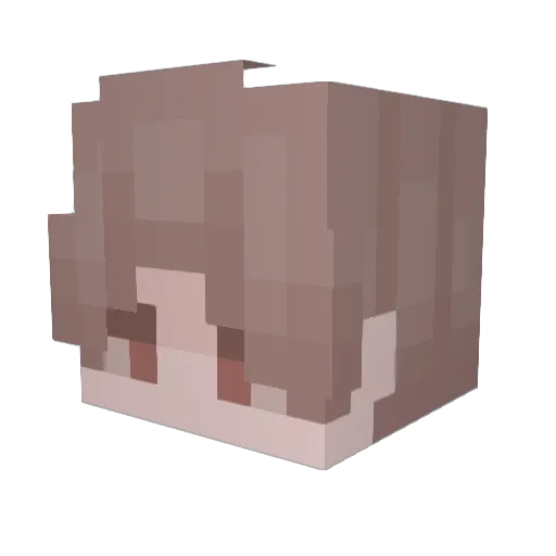 Zeldan1 Minecraft avatar head, 3D render