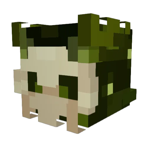 ZeldanAv Minecraft avatar head, 3D render