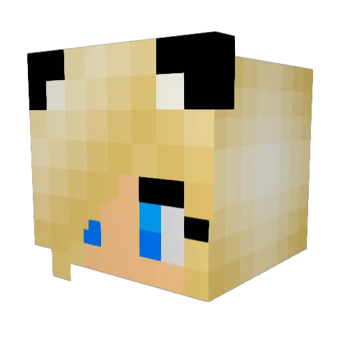 ZeldasTwin Minecraft avatar head, 3D render