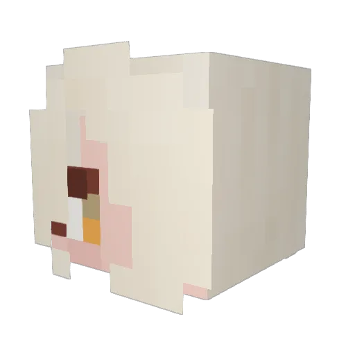 Zeldinc Minecraft avatar head, 3D render