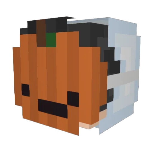 ZeldrisZ6 Minecraft avatar head, 3D render