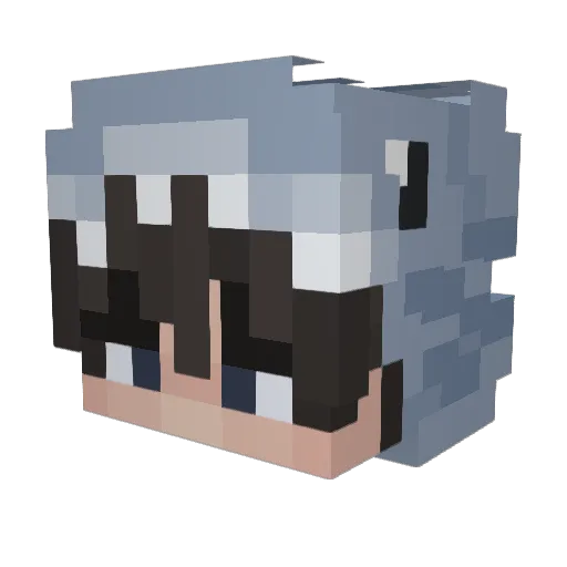 Zelek_00 Minecraft avatar head, 3D render