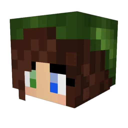 Zelhan Minecraft avatar head, 3D render