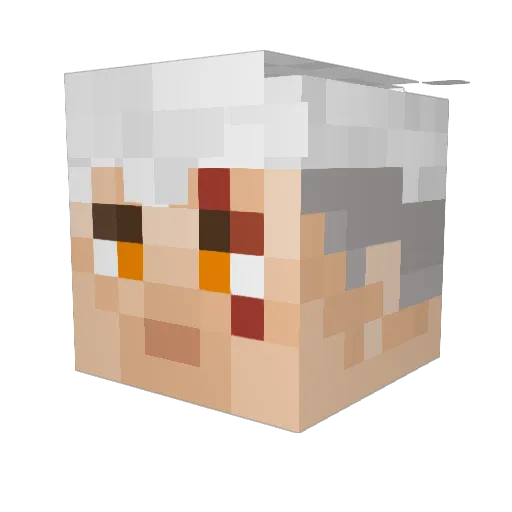 Zelight11 Minecraft avatar head, 3D render