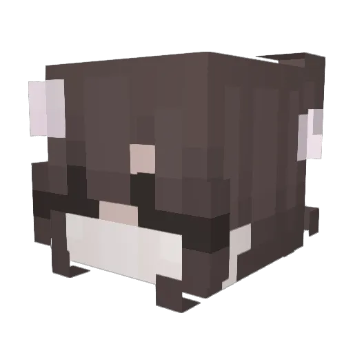 Zelix14 Minecraft avatar head, 3D render