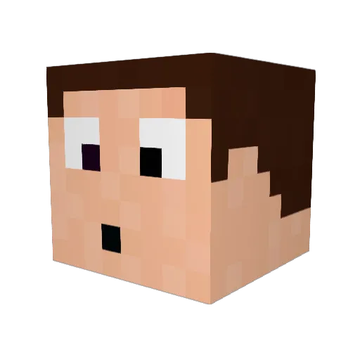 Zeljo Minecraft avatar head, 3D render