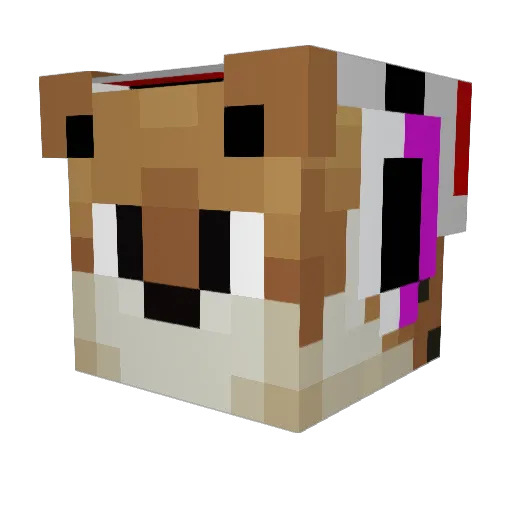 Zelkam Minecraft avatar head, 3D render