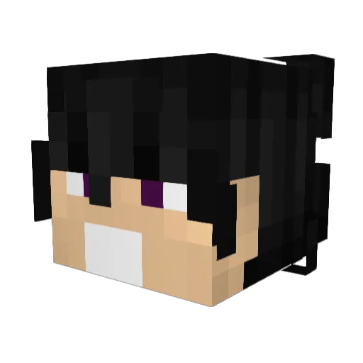 Zelks_ Minecraft avatar head, 3D render