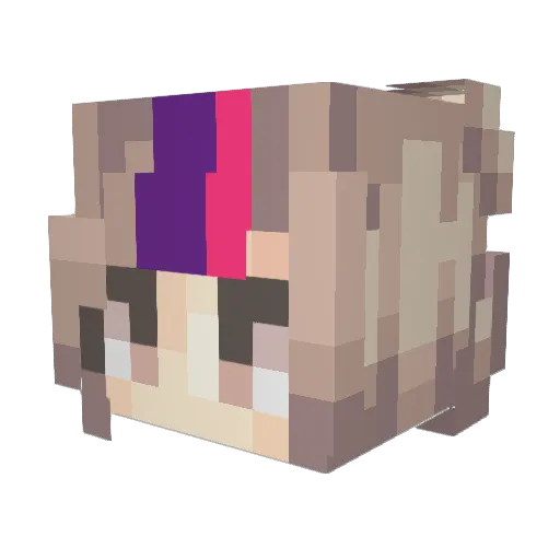 Zelly26 Minecraft avatar head, 3D render