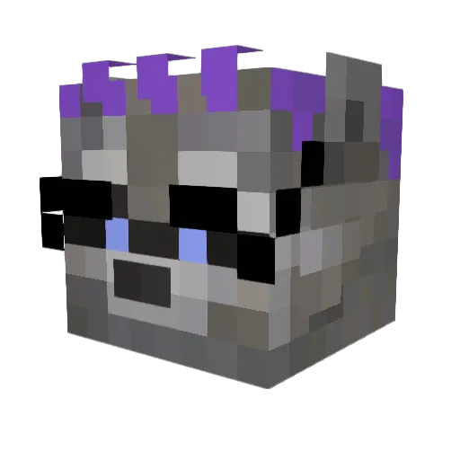 Zellyn Minecraft avatar head, 3D render
