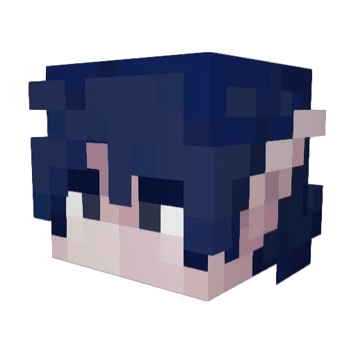 Zelmer502 Minecraft avatar head, 3D render