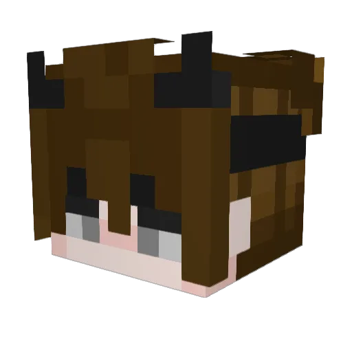 ZelosNP Minecraft avatar head, 3D render