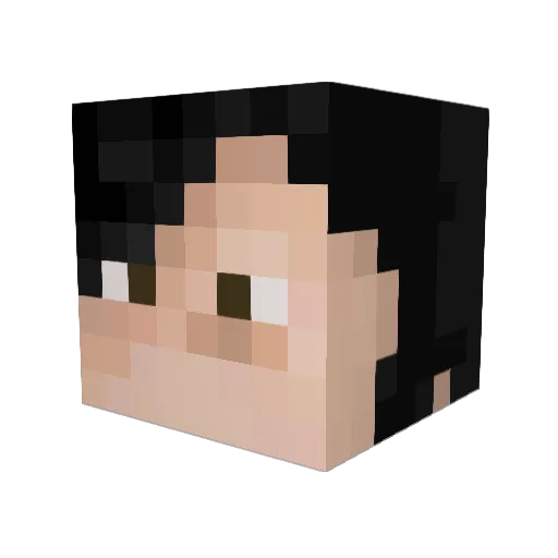 Zelot59 Minecraft avatar head, 3D render