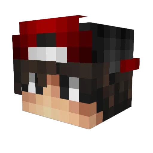 Zelry56 Minecraft avatar head, 3D render