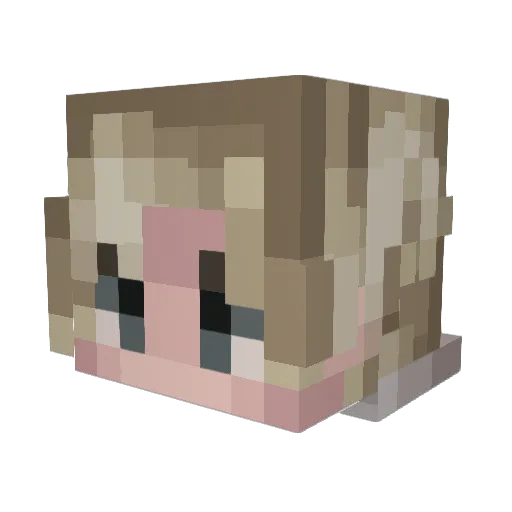 Zelrye Minecraft avatar head, 3D render