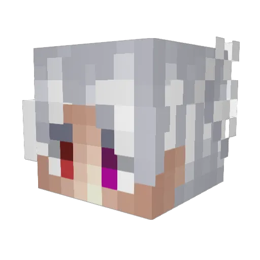 Zelth Minecraft avatar head, 3D render