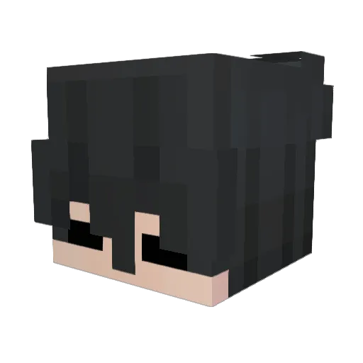 Zeltrix54 Minecraft avatar head, 3D render