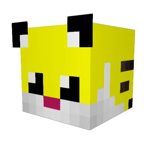 Zemba14 Minecraft avatar head, 3D render