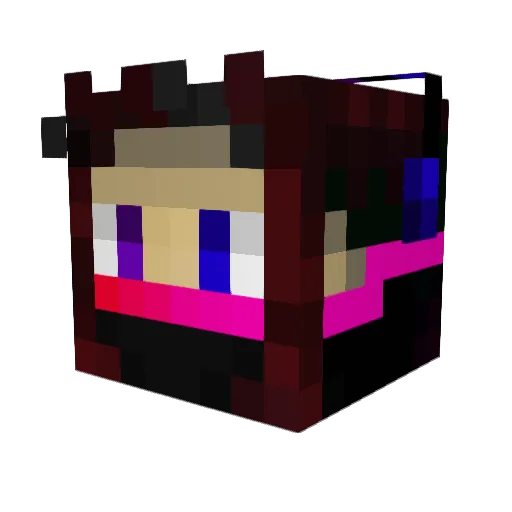Zemi2011 Minecraft avatar head, 3D render