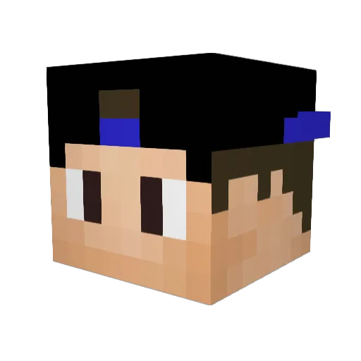 Zemmerbeck Minecraft avatar head, 3D render