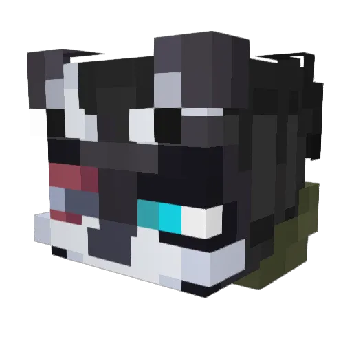 Zemstar0 Minecraft avatar head, 3D render
