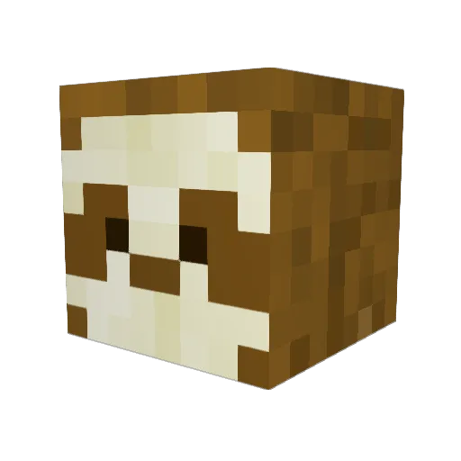 ZenChaotica Minecraft avatar head, 3D render