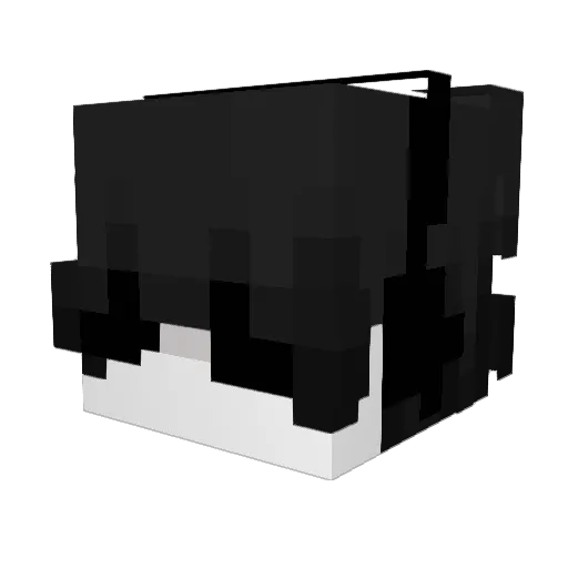 ZenFormidable802 Minecraft avatar head, 3D render
