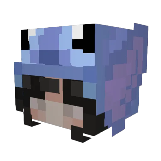 ZenMaster76 Minecraft avatar head, 3D render