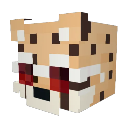 ZenTimmy Minecraft avatar head, 3D render