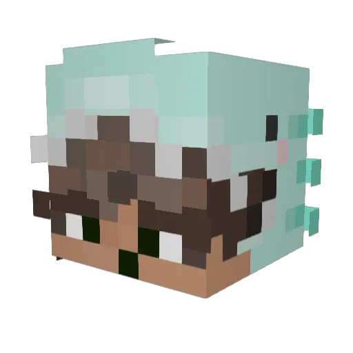 ZenUser Minecraft avatar head, 3D render