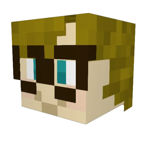 ZenZero1203 Minecraft avatar head, 3D render