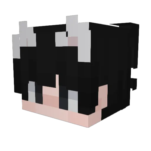 Zen_Hawk Minecraft avatar head, 3D render