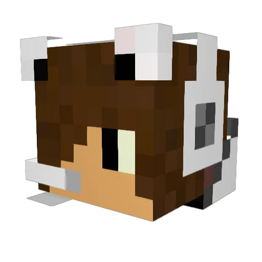 Zen_M Minecraft avatar head, 3D render