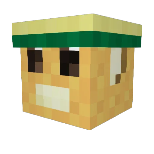 Zenacalelith Minecraft avatar head, 3D render
