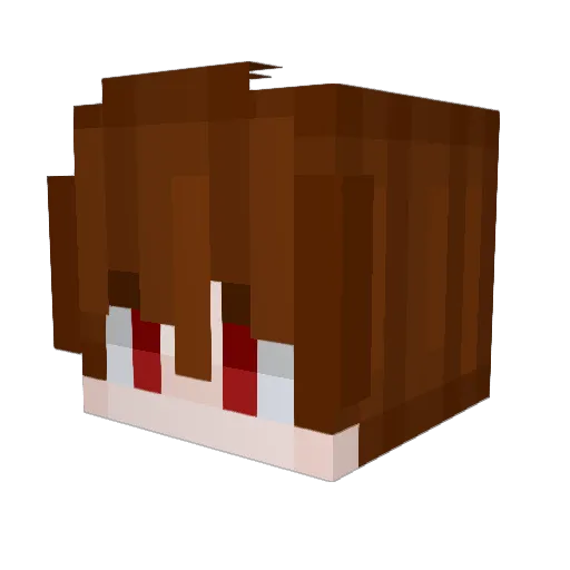 Zenal_ Minecraft avatar head, 3D render