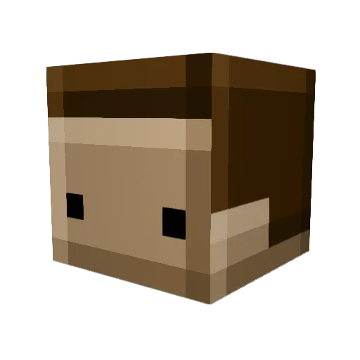 Zency0 Minecraft avatar head, 3D render