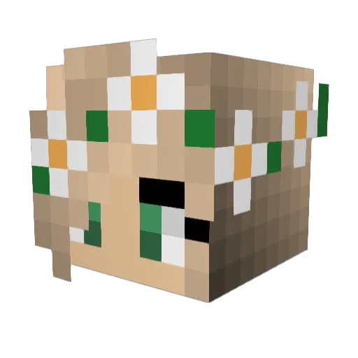Zendara Minecraft avatar head, 3D render