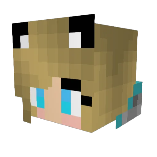Zender1919 Minecraft avatar head, 3D render