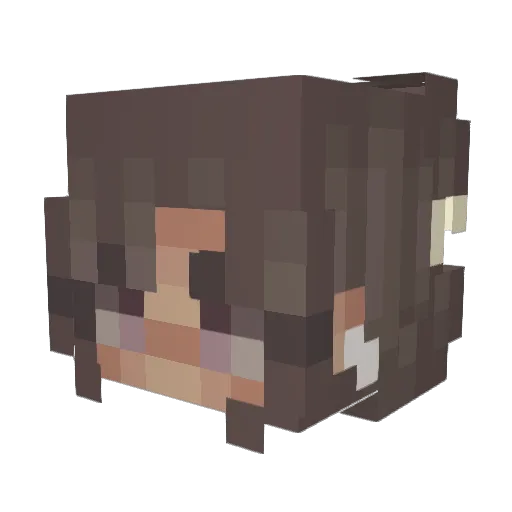 Zender212 Minecraft avatar head, 3D render