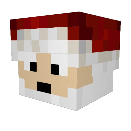 Zenetrin Minecraft avatar head, 3D render