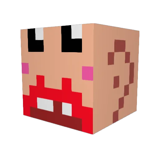 Zeni0410 Minecraft avatar head, 3D render