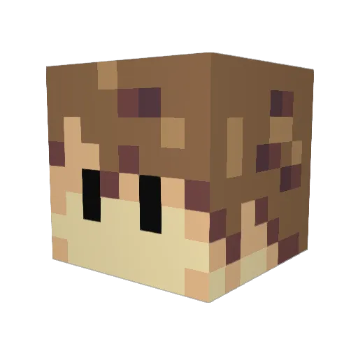 Zenihalt Minecraft avatar head, 3D render