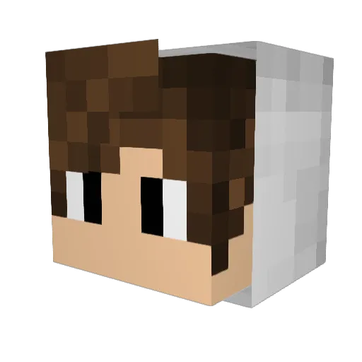 Zenith127 Minecraft avatar head, 3D render