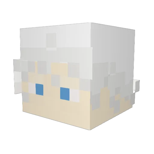 Zenith316793 Minecraft avatar head, 3D render