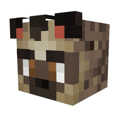 ZenithCultist Minecraft avatar head, 3D render